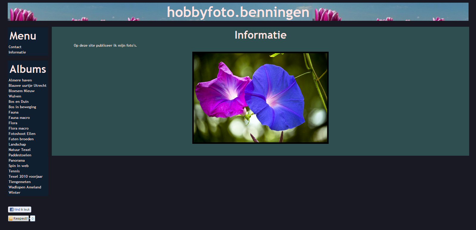 Hobbyfoto Benningen
